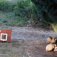 photo de livraison pour SALOME