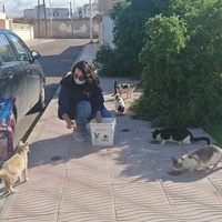photo de livraison pour ADAN Essaouira