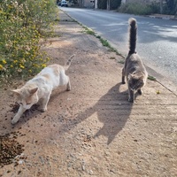 photo de livraison pour Kawthar Maree