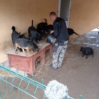 photo de livraison pour Društvo za zaštitu životinja "Bela"