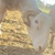 photo animal