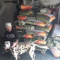 photo de livraison pour El refugio canino de Leo