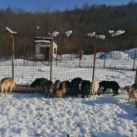 photo de livraison pour Humans foR thEM