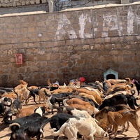 photo de livraison pour ADAN