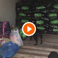 photo de livraison pour Azil Bella