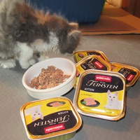 photo de livraison pour Jardin des Chats
