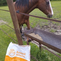 photo de livraison pour Hearthland Royal Horse