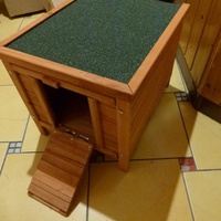 photo de livraison pour Lezard