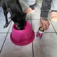 photo de livraison pour AVRAH