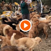 photo de livraison pour Sanctuaire de la Faune de Tanger (SFT)