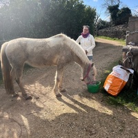 photo de livraison pour La Retraite des Chevaux des Causses