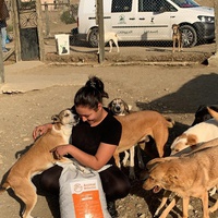 photo de livraison pour Sanctuaire de la Faune de Tanger (SFT)