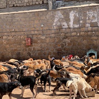 photo de livraison pour ADAN