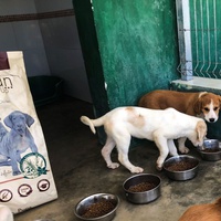 photo de livraison pour Huellas del Valle con Esperanza