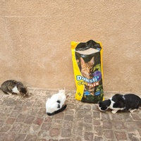 photo de livraison pour Corinne Teissier