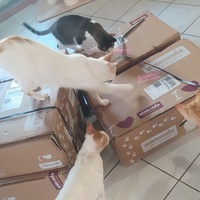 photo de livraison pour Une Maison pour la Vie