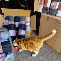 photo de livraison pour Les Chats'nonymes