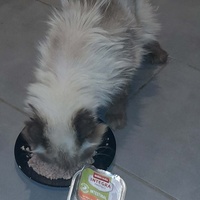 photo de livraison pour SOS COUSSINETS AUDOIS