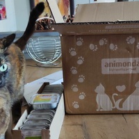 photo de livraison pour Patounes de Chats