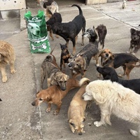 photo de livraison pour ПРИХВАТИЛИШТЕ ДРАЖЕВАЦ