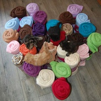 photo de livraison pour Ecole du Chat d’Arbois