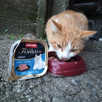 photo de livraison pour Catmondou