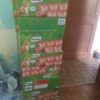 photo de livraison pour Féline de Sérifontaine