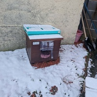 photo de livraison pour Sweety Pets