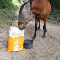 photo de livraison pour Happy Horse Day