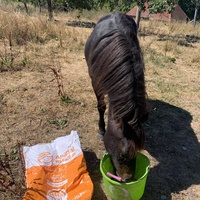 photo de livraison pour Espoir au Galop
