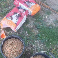 photo de livraison pour Udruženje za zaštitu i zbrinjavanje životinja "Moje šape"