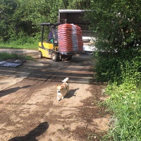 photo de livraison pour Saving Orphaned Souls Sheila's Animal Rescue Mission