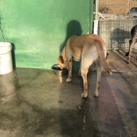 photo de livraison pour Huellas del Valle con Esperanza