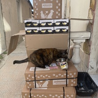 photo de livraison pour Association des Chats Camarguais