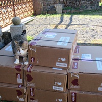 photo de livraison pour Jardin des Chats