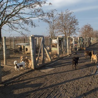 photo de livraison pour Azil Bella