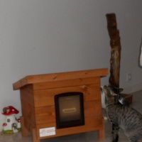 photo de livraison pour La Tribu de LOLA
