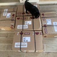 photo de livraison pour Les chats de chez nous