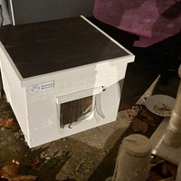 photo de livraison pour Les Chats de Dugny