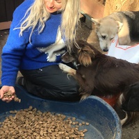 photo de livraison pour Saving Orphaned Souls Sheila's Animal Rescue Mission