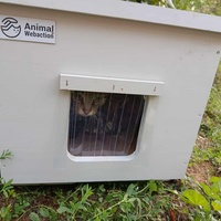 photo de livraison pour Les Chats de la Rue