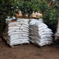 photo de livraison pour Le Coeur sur la Patte