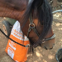 photo de livraison pour Equi-Vivre