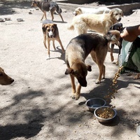 photo de livraison pour Svetlana Bjelogrlic