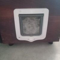 photo de livraison pour Les Chats-Pitresdelavi-Ste