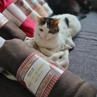 photo de livraison pour Les Coups Fourrés - ACF