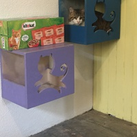 photo de livraison pour Association des Chats Camarguais