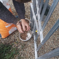 photo de livraison pour Innocente
