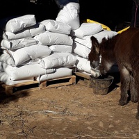 photo de livraison pour Equi-Vivre