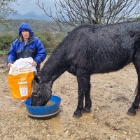 photo de livraison pour La Retraite des Chevaux des Causses